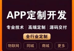 网站建设/推广·软件开发定制小程序H5公众号WEB安卓IOS